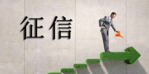 个人征信要去哪里查，个人征信报告查询方法