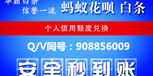 硬核讲解谁可以帮我把白条额度套出来?原理竟如此简单