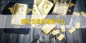 期权交易原理是什么_期权_权利金