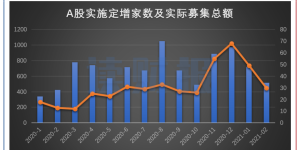 2021年2月上市公司定增动态：实施家数及募集规模持续下降