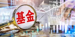 惊呆了！86年不换仓，只卖过一只股，”最懒基金”暴赚近5000倍！