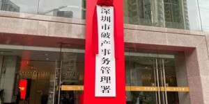 重磅！个人破产法落地案例：负债71万，法院判决不用还！