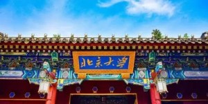 北大白重现江湖 却昙花一现！！！