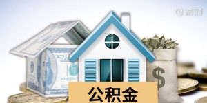 组合贷必须要两份收入证明吗?