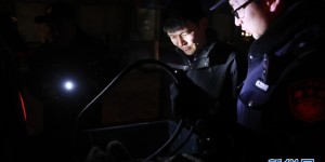 在无人区守卫野生动物天堂