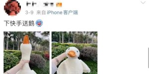 最近街头怎么那么多“鹅”？回头率相当高！但重要提醒：有人已上当