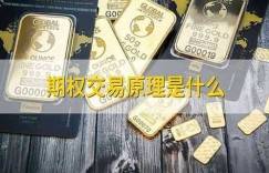 期权交易原理是什么_期权_权利金