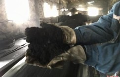 统计局：3月规上工业原煤生产小幅下降 原油生产稳定增长