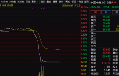 5000亿龙头闪崩跌停 海南板块溃不成军 发生了什么