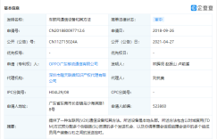 OPPO正筹备造车？其关联公司公开车联网相关专利