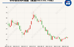 掌舵人郑永刚突然离世，大变革中的杉杉将走向何方？