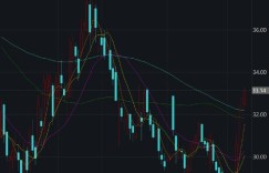 傅鹏博、刘彦春、蒋彤等顶流基金经理调研股曝光！贝莱德基金也出动了