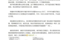 爆料：荣耀9X手机将在年内全部升级华为鸿蒙操作系统