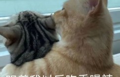 速薅！工行积分神比例变现、京东PLUS年卡史低价、免费领立减金