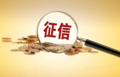 查征信报告被吓住了，千万不要再用网贷了
