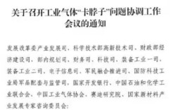 多部委召开闭门协调会 着手解决工业气体“卡脖子”难题