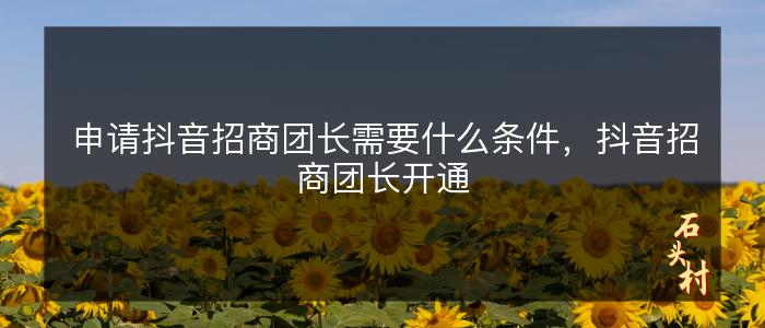 申请抖音招商团长需要什么条件，抖音招商团长开通