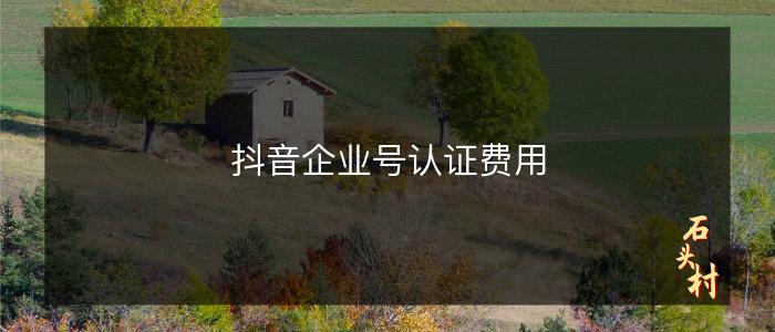 抖音企业号认证费用