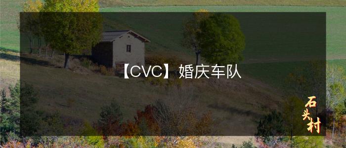 【CVC】婚庆车队