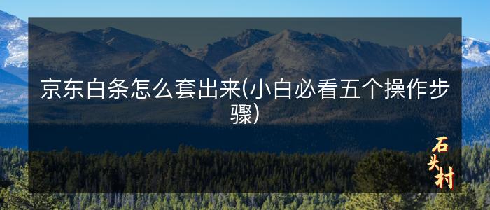 京东白条怎么套出来(小白必看五个操作步骤)