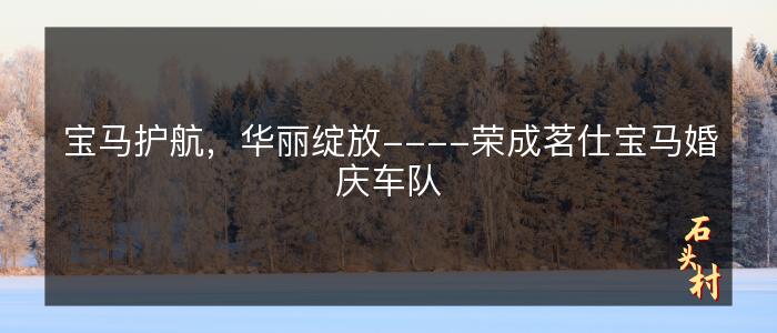 宝马护航，华丽绽放----荣成茗仕宝马婚庆车队