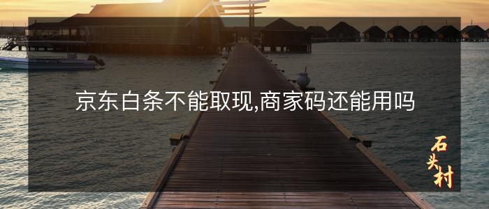 京东白条不能取现,商家码还能用吗