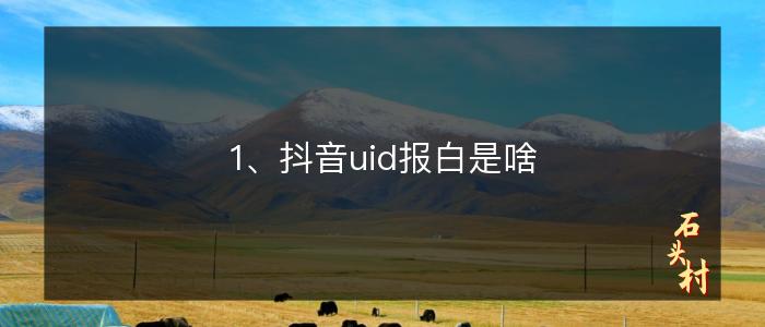 1、抖音uid报白是啥