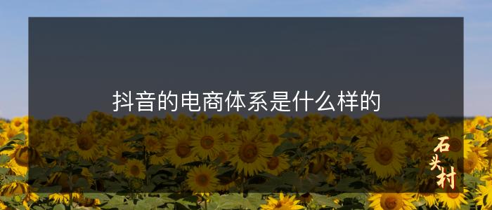 抖音的电商体系是什么样的