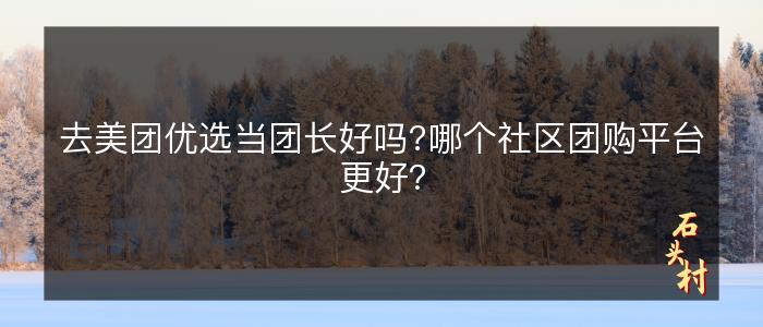 去美团优选当团长好吗?哪个社区团购平台更好？
