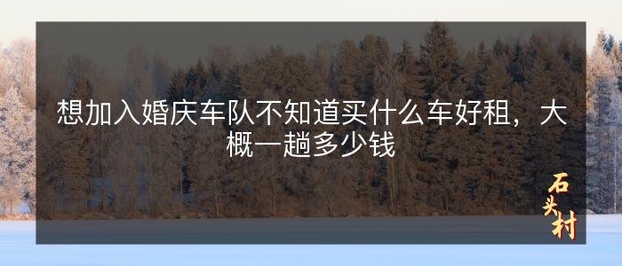 想加入婚庆车队不知道买什么车好租，大概一趟多少钱