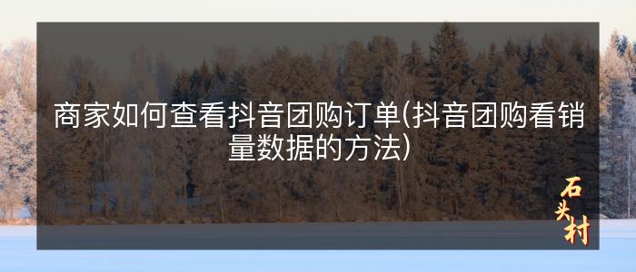商家如何查看抖音团购订单(抖音团购看销量数据的方法)