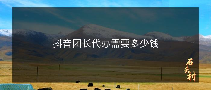 抖音团长代办需要多少钱
