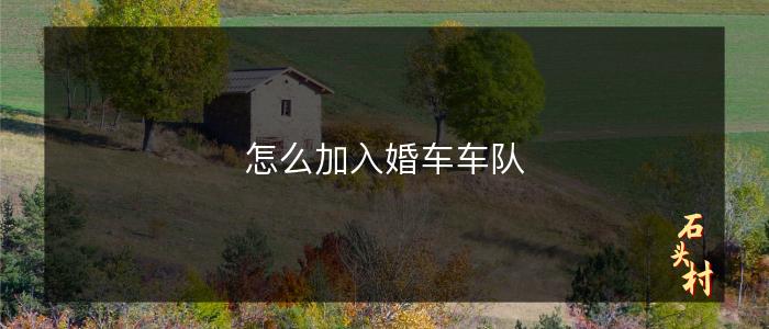 怎么加入婚车车队