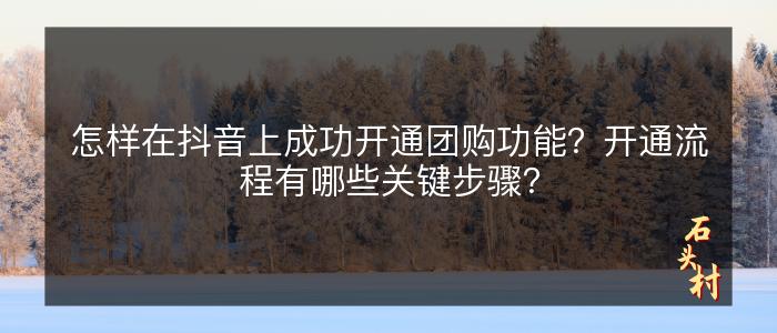 怎样在抖音上成功开通团购功能？开通流程有哪些关键步骤？