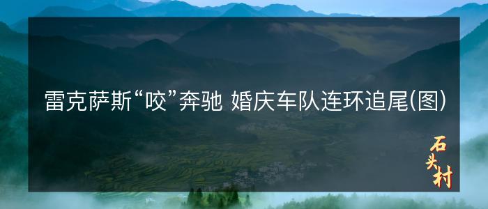 雷克萨斯“咬”奔驰 婚庆车队连环追尾(图)