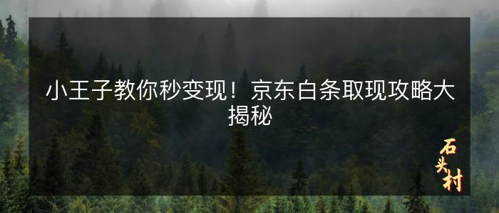 小王子教你秒变现！京东白条取现攻略大揭秘