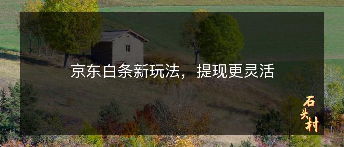 京东白条新玩法，提现更灵活