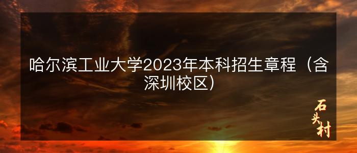 哈尔滨工业大学2023年本科招生章程（含深圳校区）