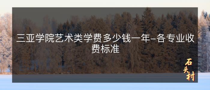 三亚学院艺术类学费多少钱一年-各专业收费标准