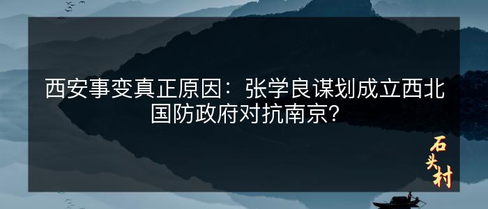 西安事变真正原因：张学良谋划成立西北国防政府对抗南京？