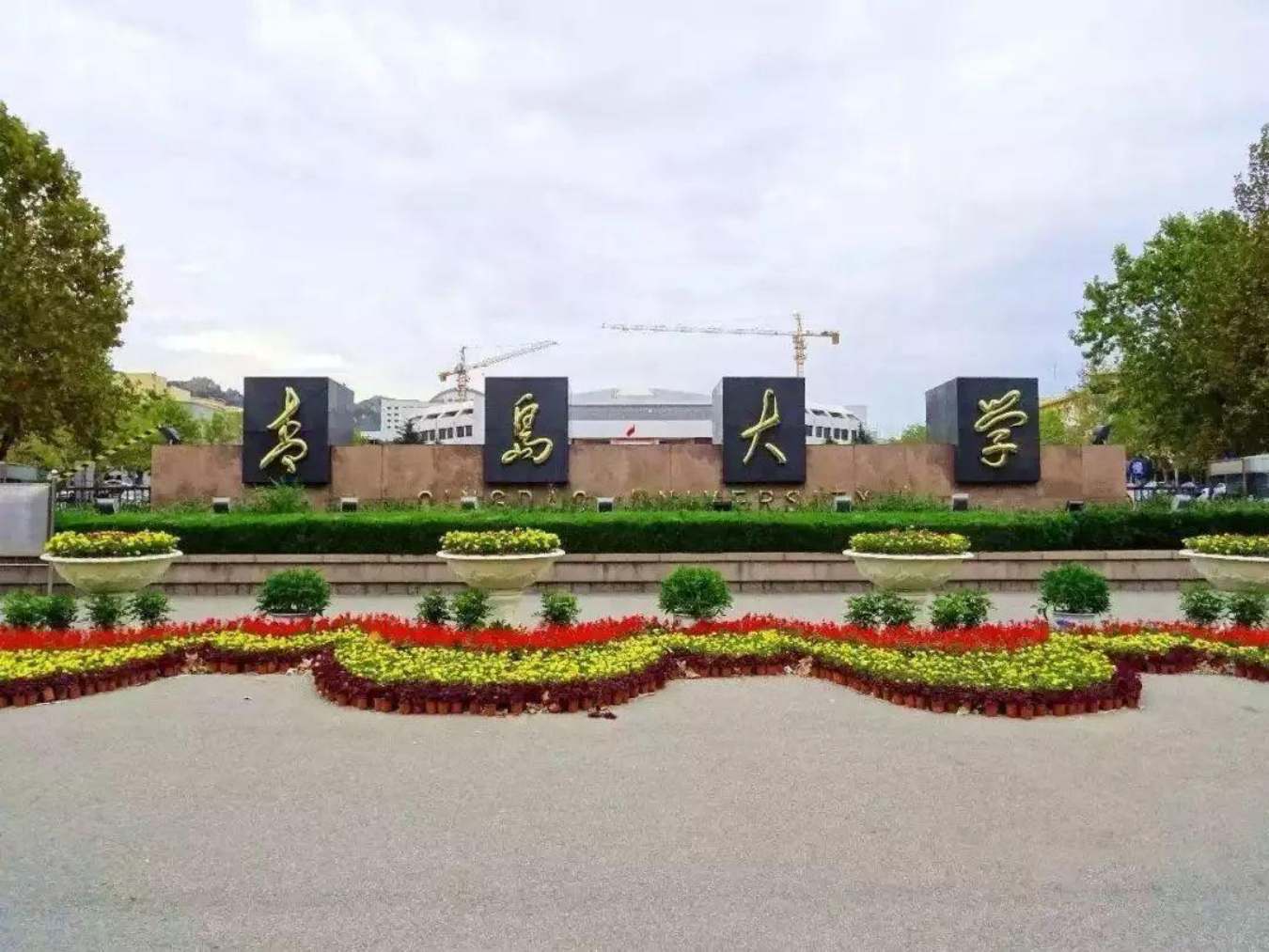 青岛大学热门专业_热门青岛大学专业有哪些_热门青岛大学专业排行榜