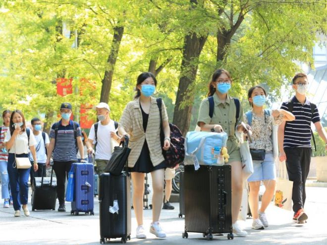 东北电力就业_东北电力大学就业情况_东北电力大学就业排行榜