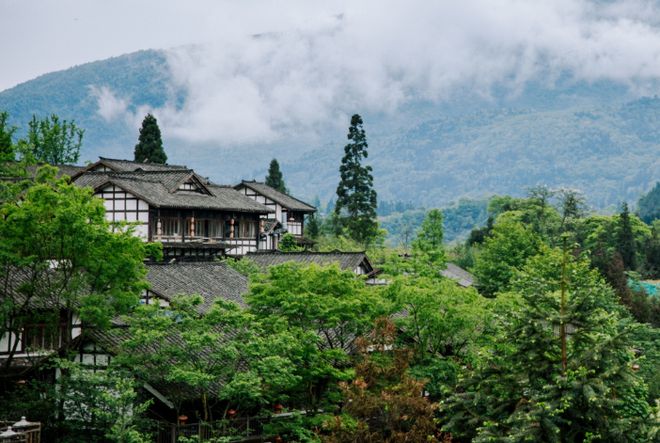 东北电力就业_东北电力大学就业情况_东北电力大学就业排行榜