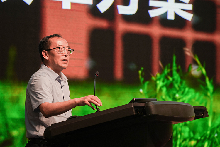 四川大学国际关系报录比_四川大学国际关系考研_四川大学研究生国际关系