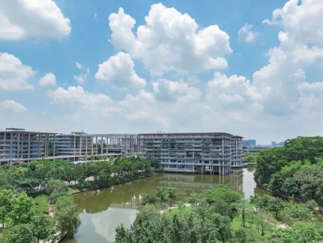 广东文科大学排名_广东的文科大学排名_广东文科排名90000大学