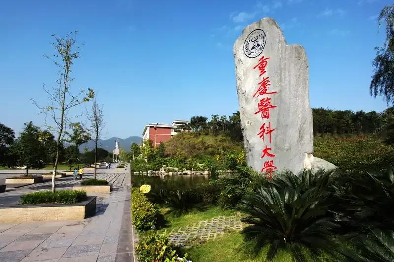 2020湖北博士点_2021湖北博士点_湖北博士点大学