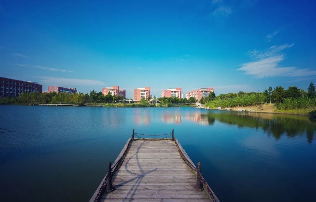 华东理工大学研究生就业情况_华东理工研究生就业怎么样_华东理工大学研究生就业待遇
