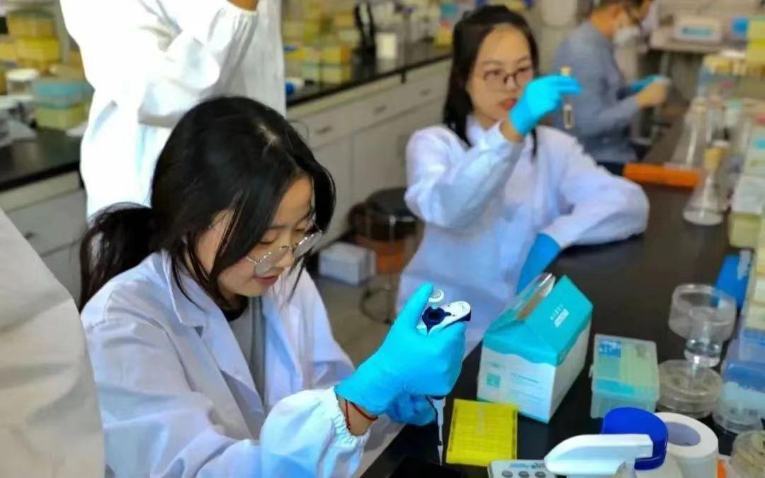 江南大学课题组_江南大学大创立项_2013江南大学科研成果汇编