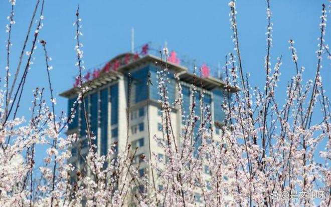 南京航空航天大学石勇_南京大学航空航天_南京航空航天大学石勇