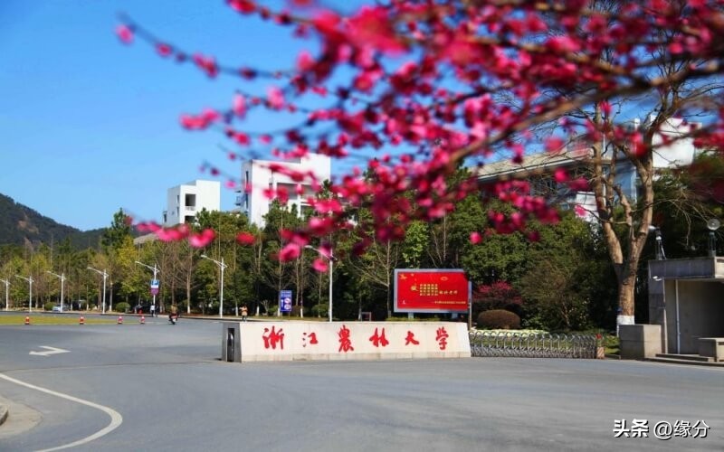 农林大学排名及分数线_农林大学多少分_农林类大学211985